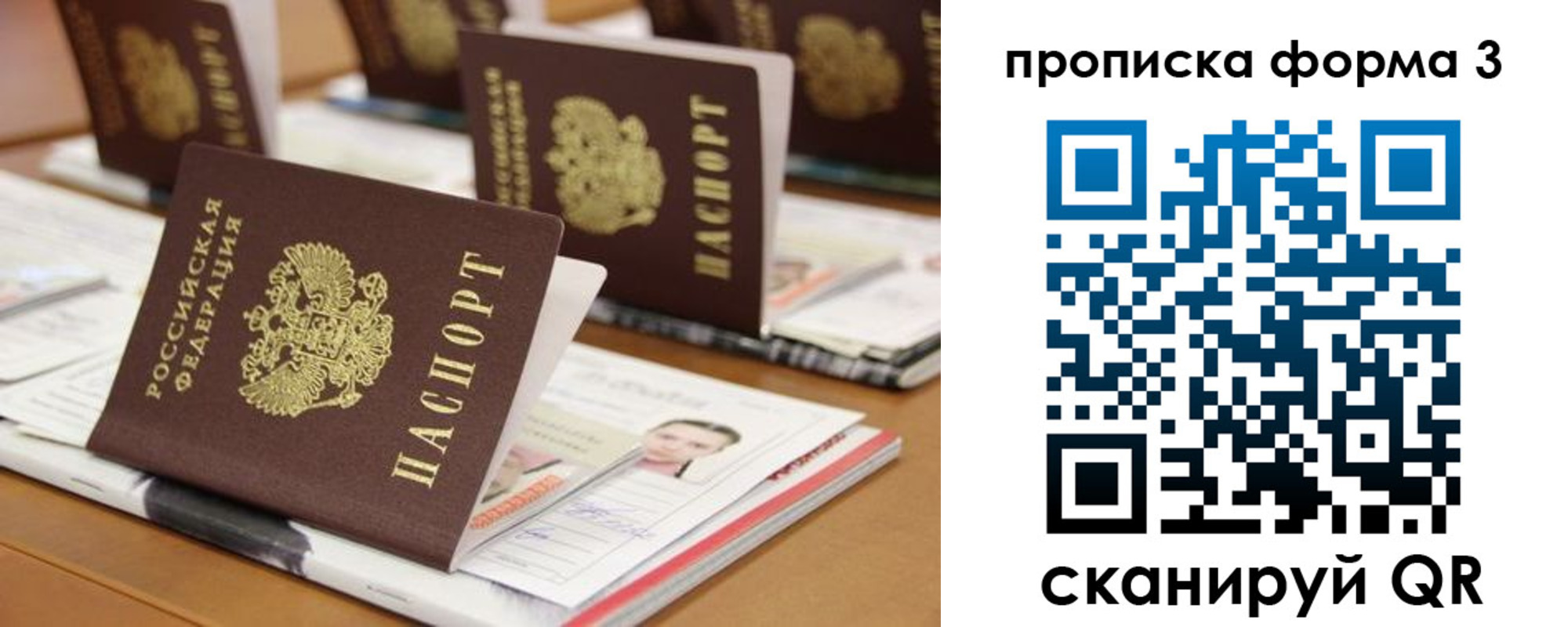 прописка в квартире в Владивостоке